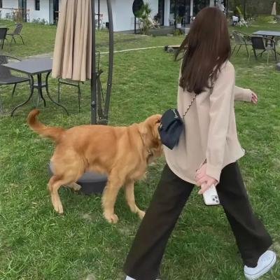 熄灯号
